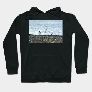 Two Birds Hoodie